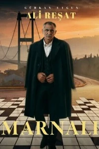 Марналы